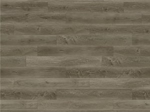 Paradigm Conquest Passage 9 x 72